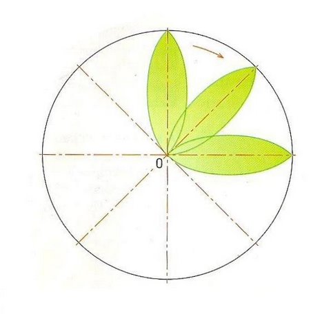 Estructura del mandala