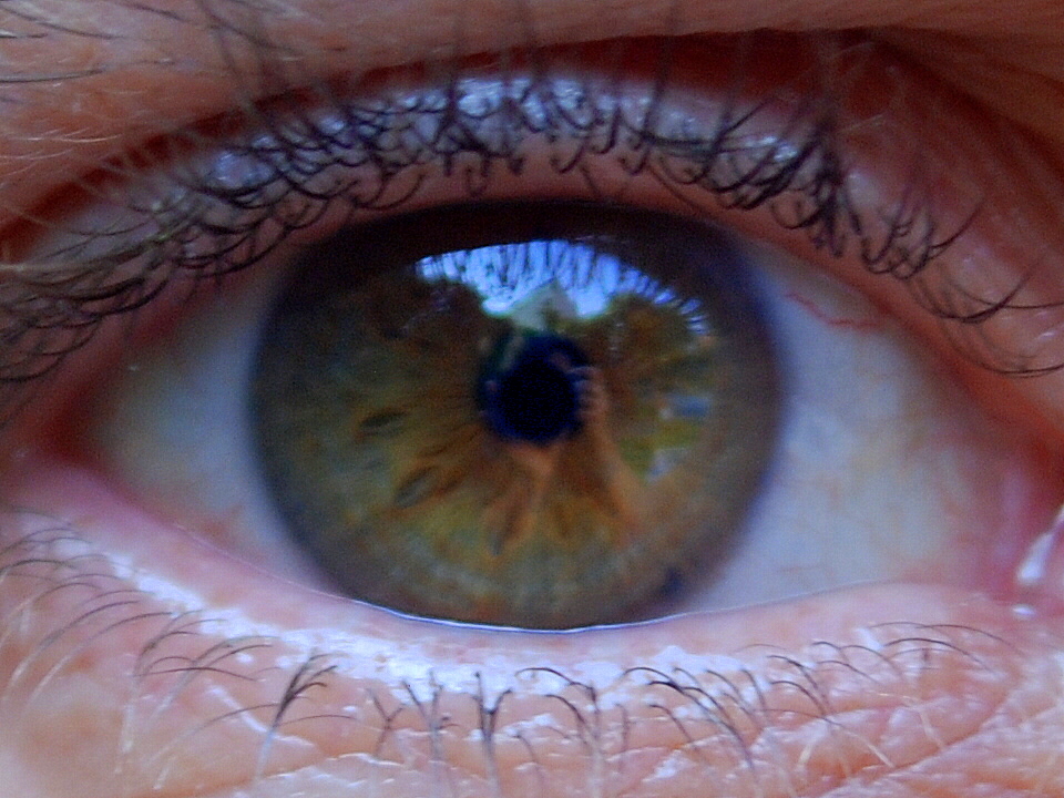 El mandala de los ojos